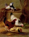Pigeons et poulets ferme animaux Edgar Hunt